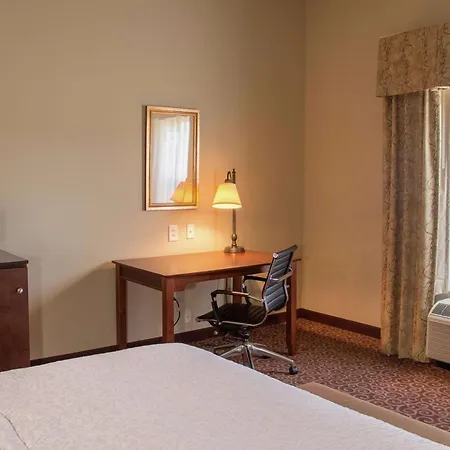 Hampton Inn Murphy-3
